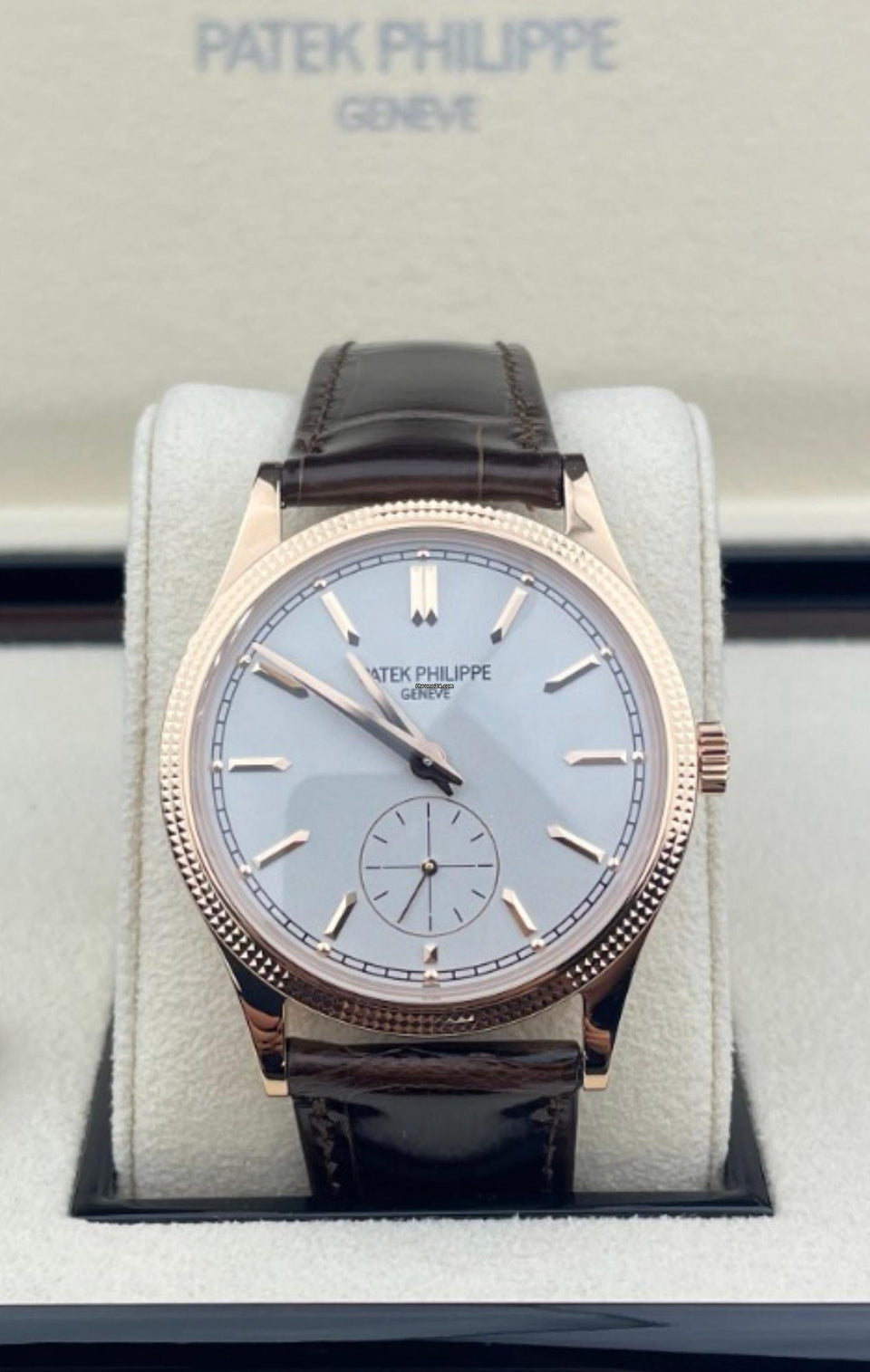 Patek Philippe Calatrava 6119R front view with silver dial, hobnail bezel and brown leather strap in presentation box