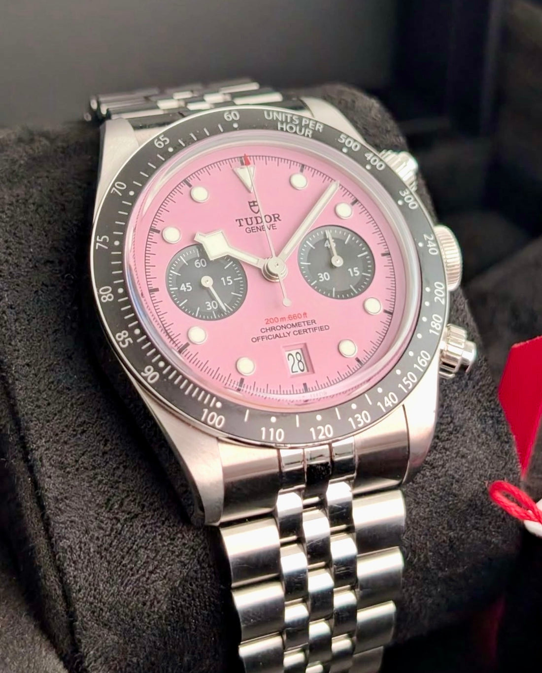 Tudor Black Bay Chrono Pink M79360N-0019 front view with pink dial and black counters