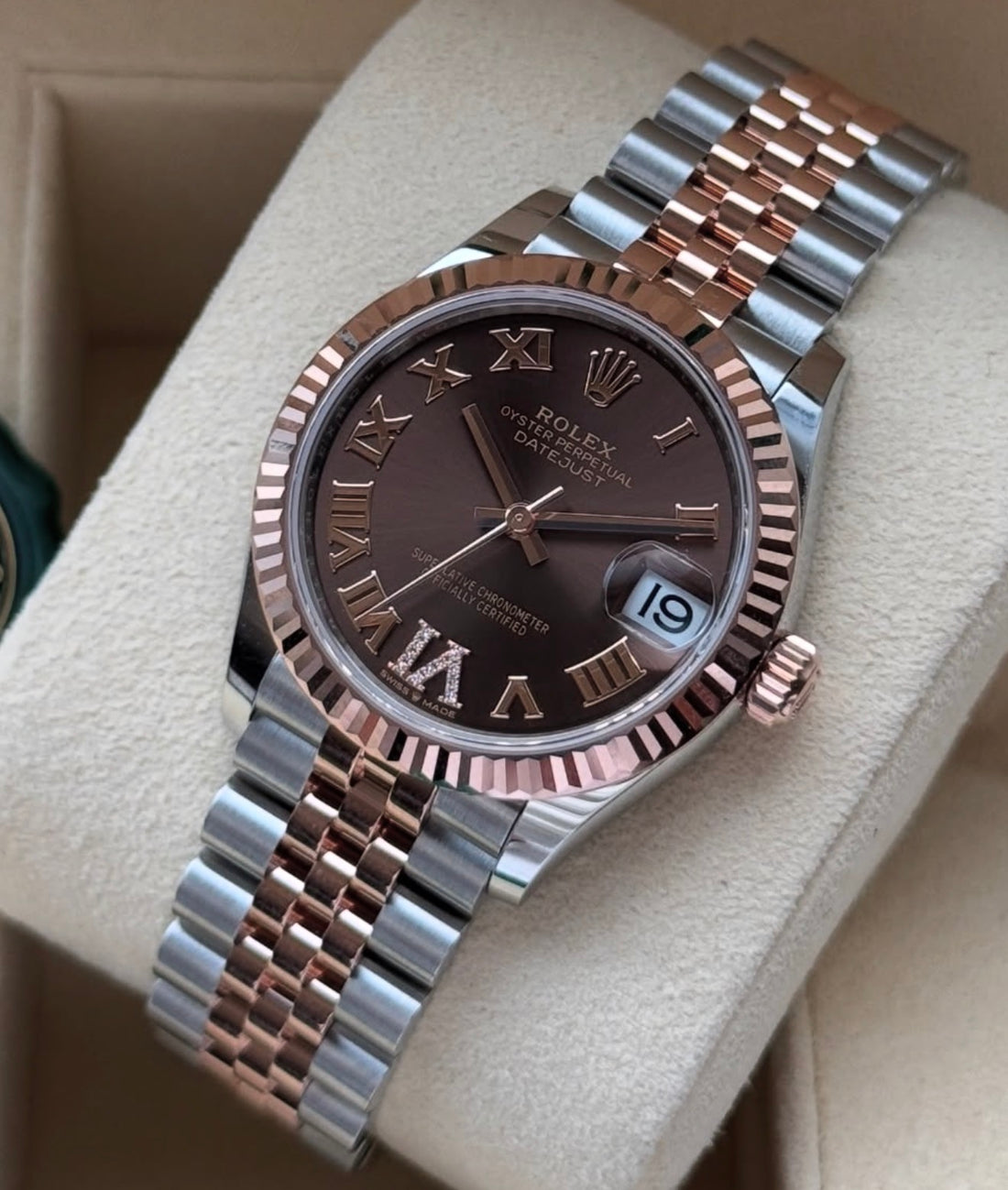 Rolex Datejust 31 NEW 2023 Datejust 31 CHOCOLATE ROMAN DIAL 278271