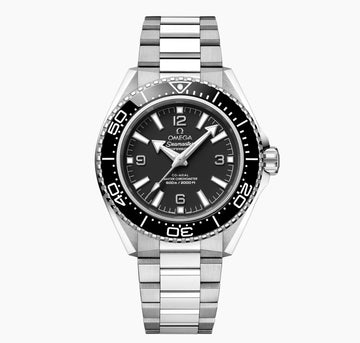 SEAMASTER PLANET OCEAN 600M 42 mm, steel on steel Ref: 
217.30.42.21.01.001