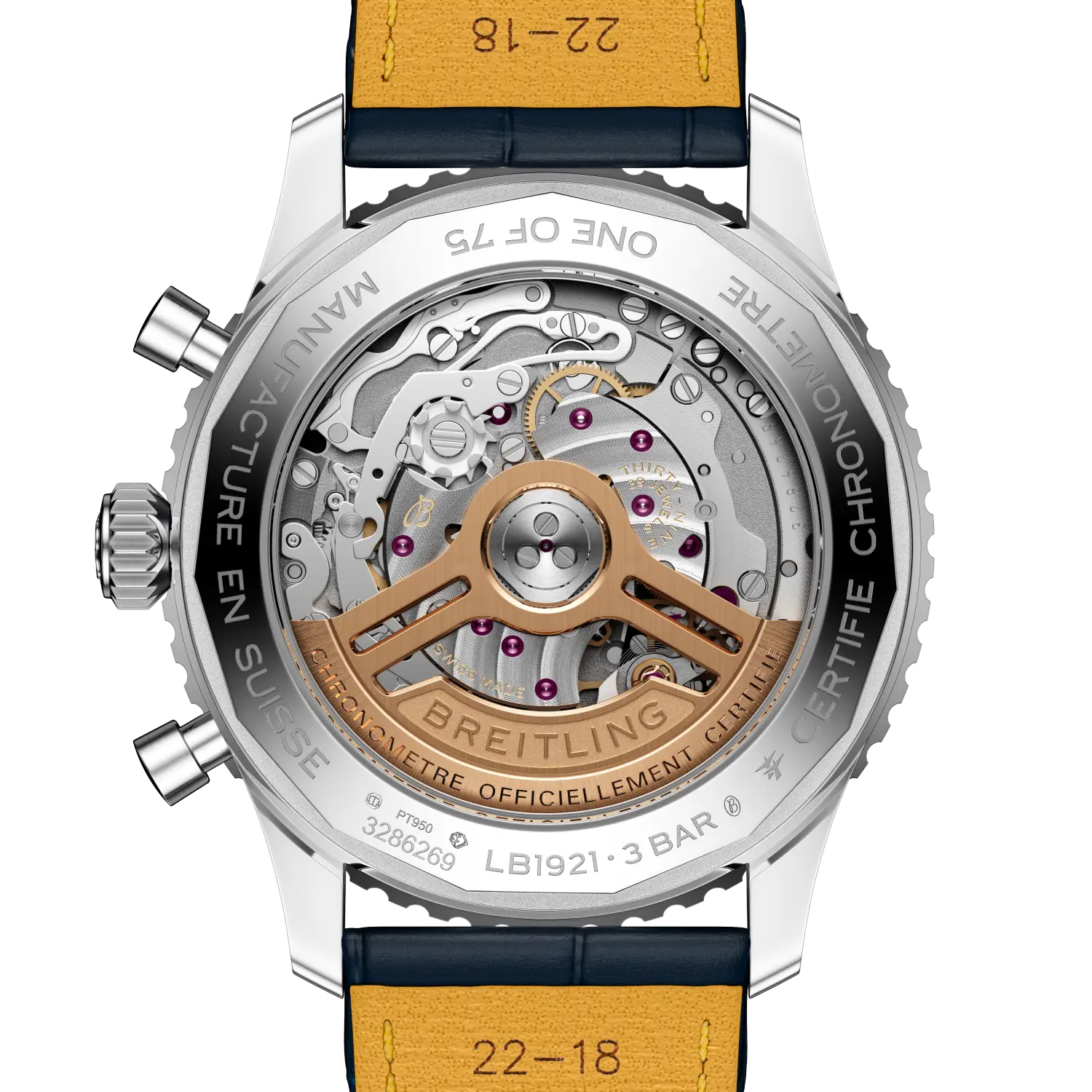 Caseback view of Breitling Navitimer B19 Chronograph 43 Perpetual Calendar reference LB19211A1C1P1