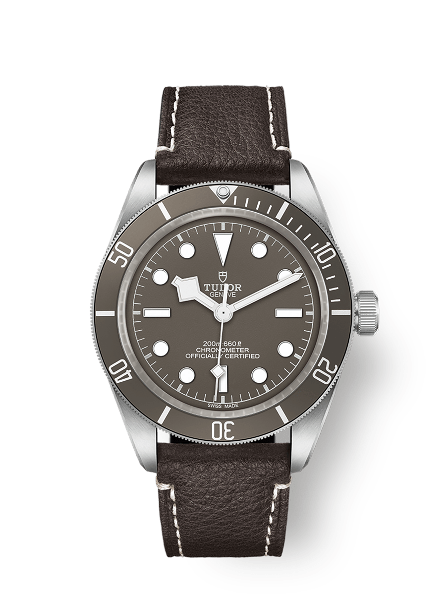 Tudor Black Bay 58 925 M79010SG-0001 Unworn 2026 official reference image